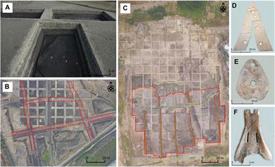 Dynamic Interaction Between Deforestation and Rice Cultivation During the Holocene in the Lower Yangtze River, China